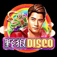 野狼DISCO